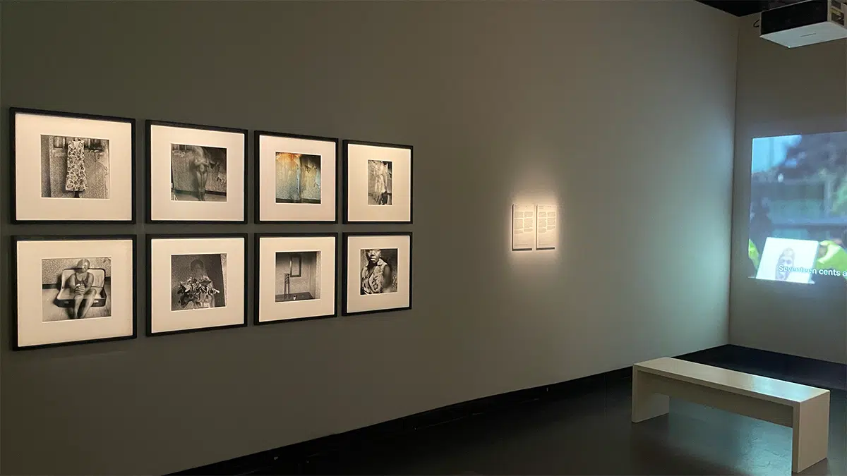 In Schitterend Licht 2